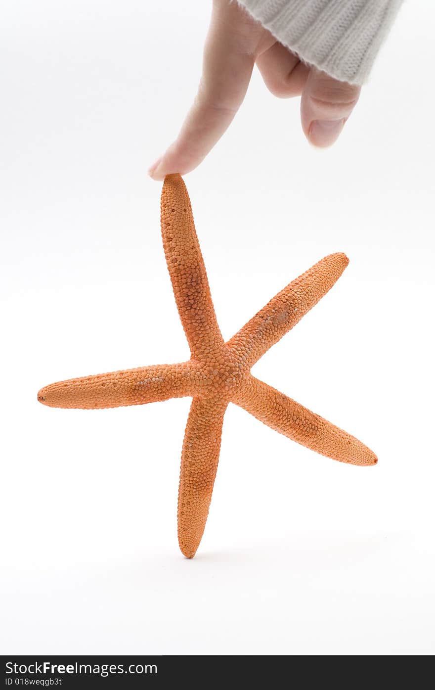 Sea star