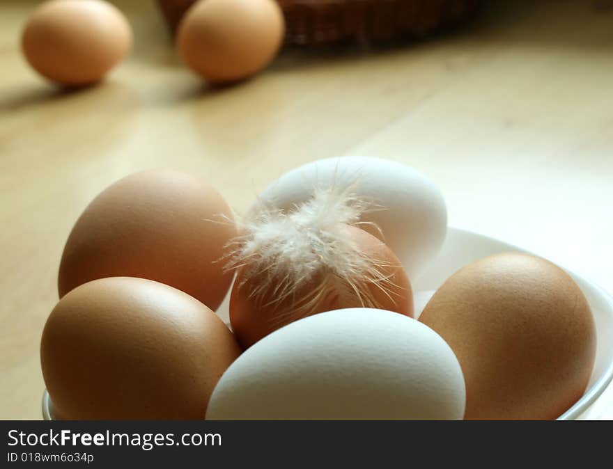 Eggs and a feather from the hen, closeup