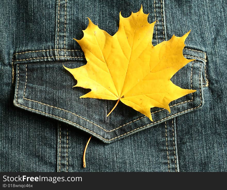 Pocket of a jeans jacket and autumn leaf closeup