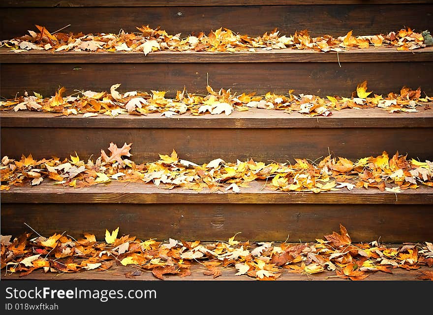 Fall Leaves on Steps