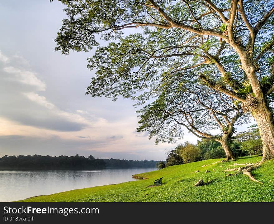 An empty wrought iron park bench on the grassy banks of a lake under a large tree at sunset. An empty wrought iron park bench on the grassy banks of a lake under a large tree at sunset