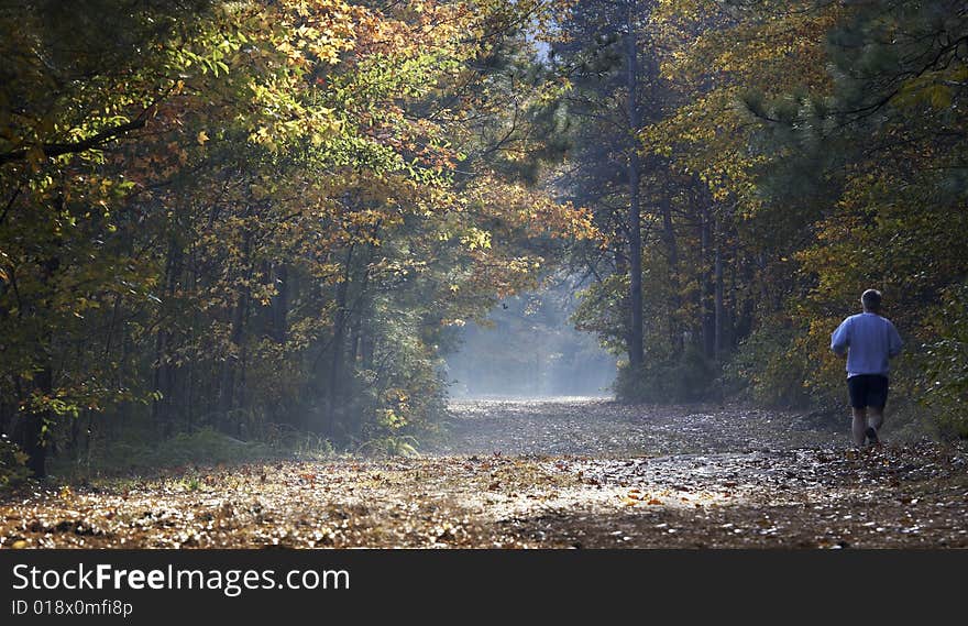 Fall trail