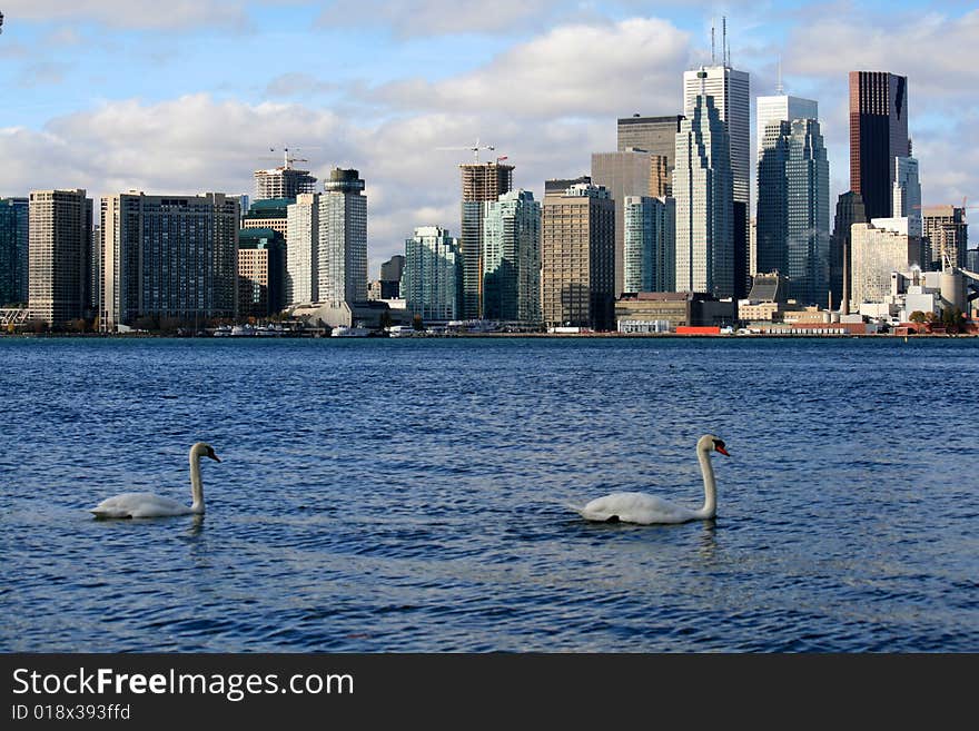 View on the city from the lake. View on the city from the lake