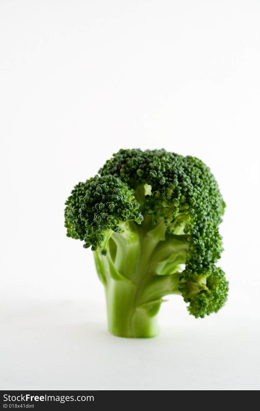 Broccoli Stalk