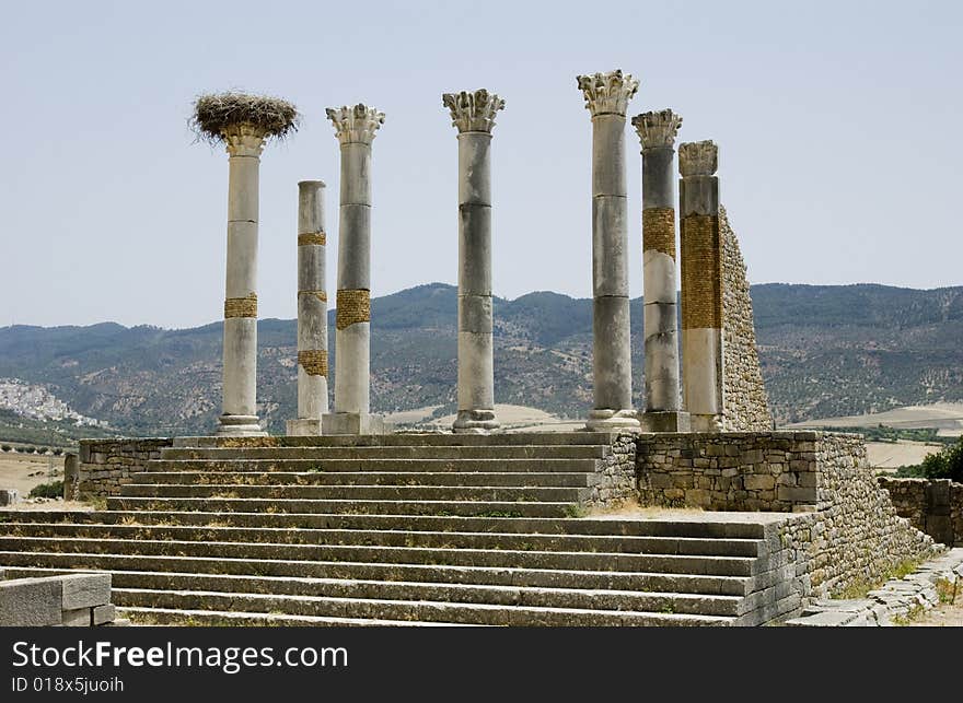 Roman columns at Volubilis, Morocco