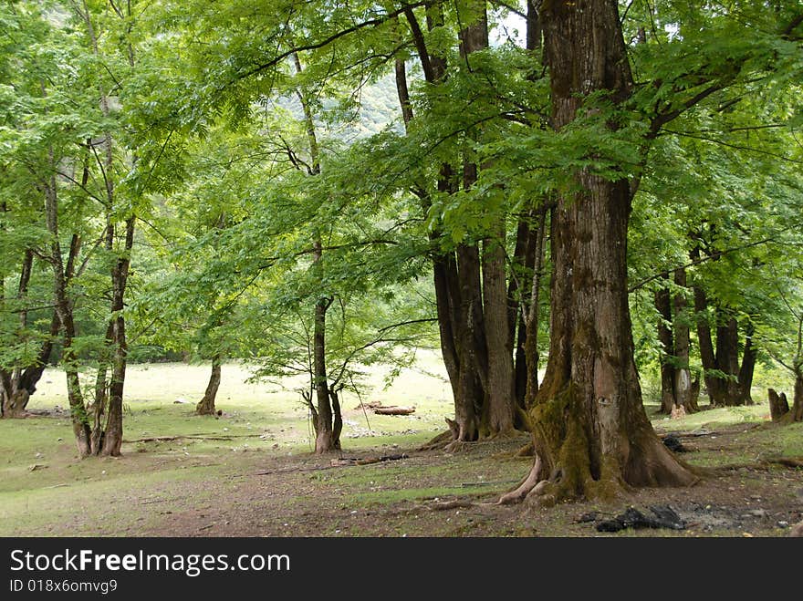 A fine scenery , pureness, natural remote village