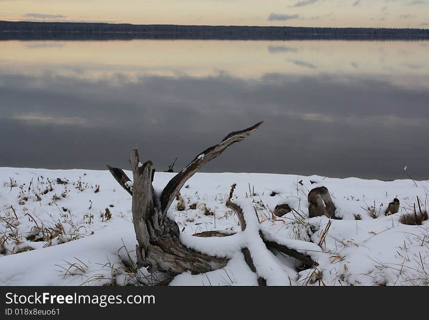 Driftwood on the beach at Iosegun Lake just before freeze up. Driftwood on the beach at Iosegun Lake just before freeze up