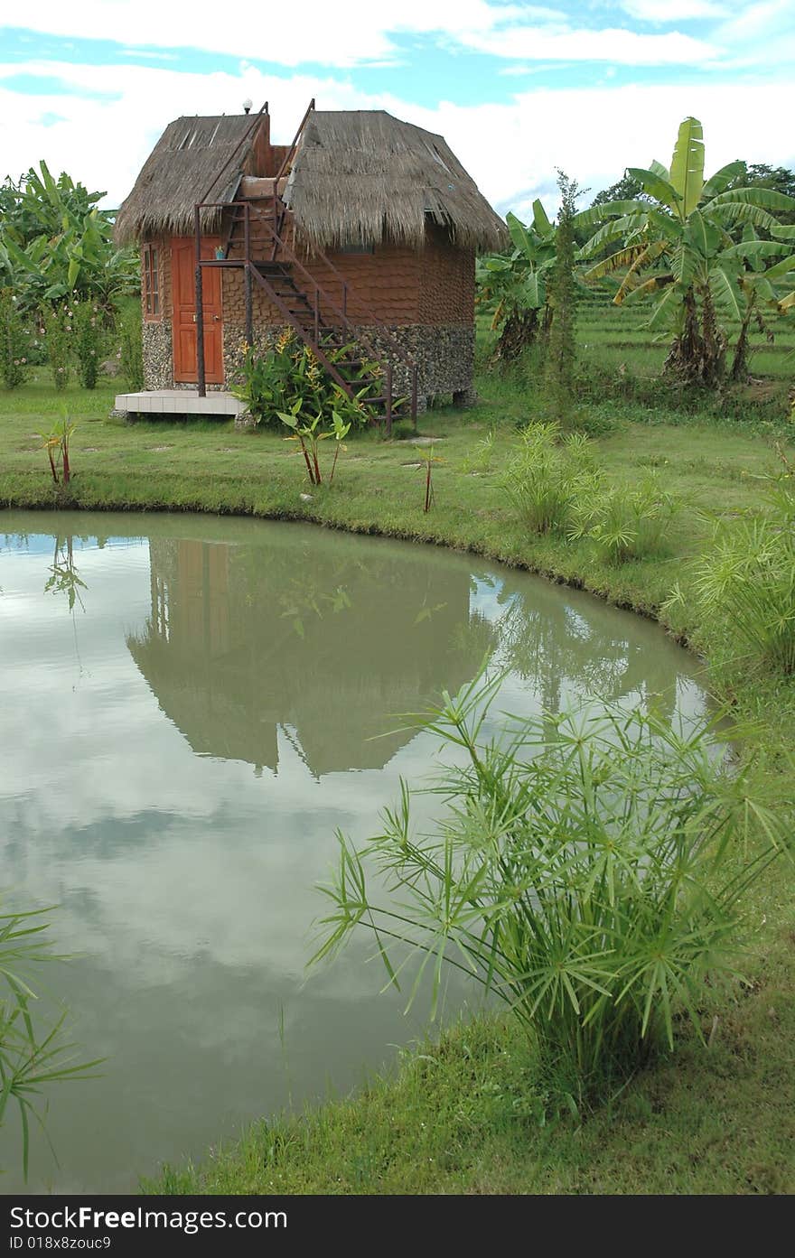 Paddy Home Lake