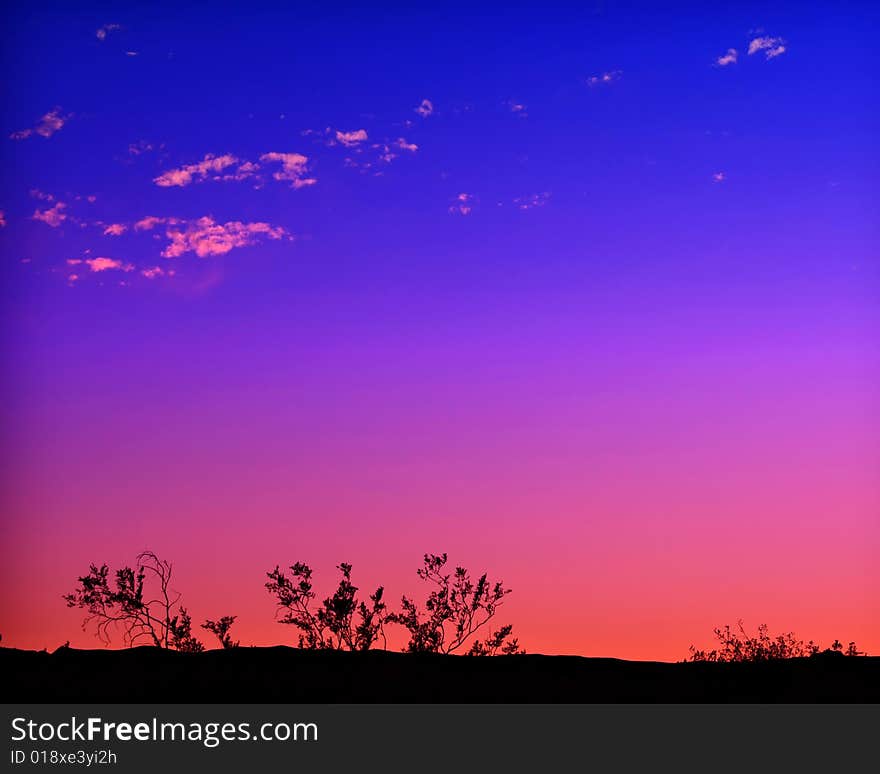 Desert Sunset