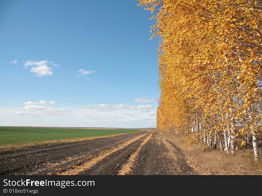 Autumn landscape