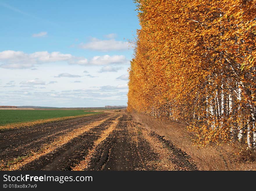 Autumn Landscape