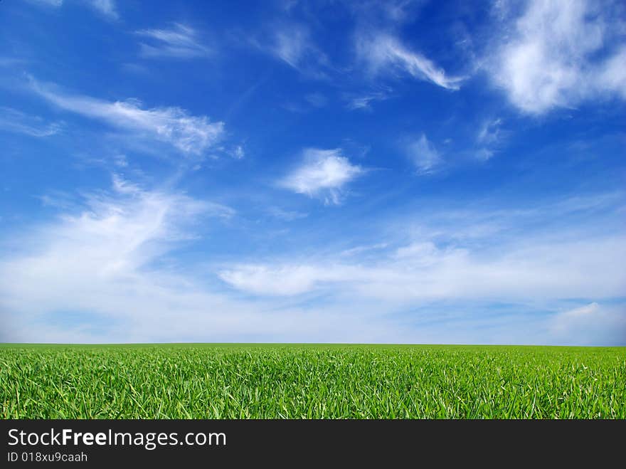 Field on a background of the blue sky. Field on a background of the blue sky