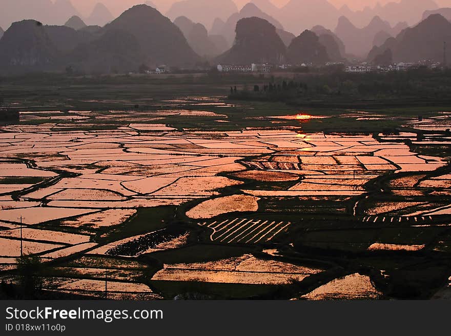 At dusk,paddy field is beautiful. At dusk,paddy field is beautiful