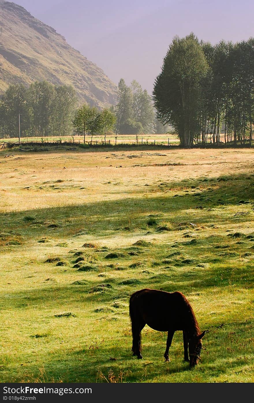 A peaceful morning in tibet. A peaceful morning in tibet