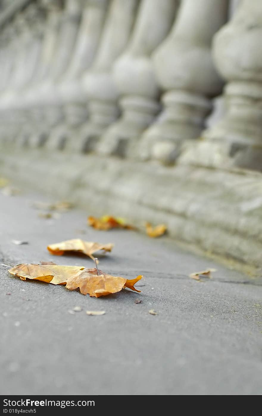 Autumn leaves with a background of ornate masonry