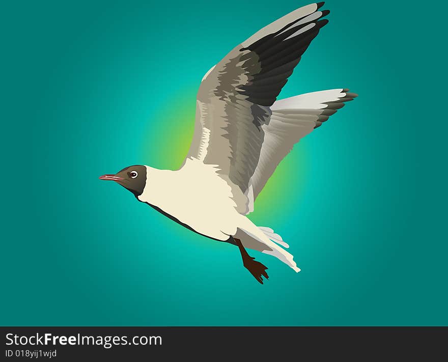 Gull and blue sky illustration