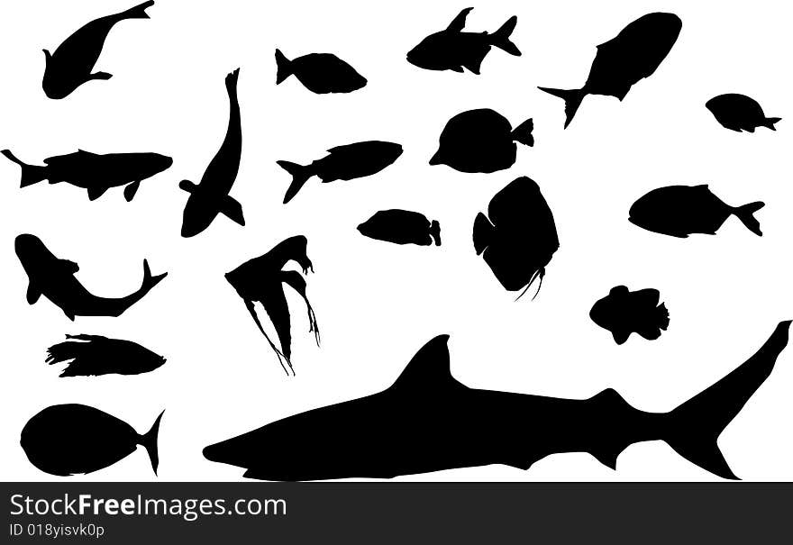 Different fish silhouettes