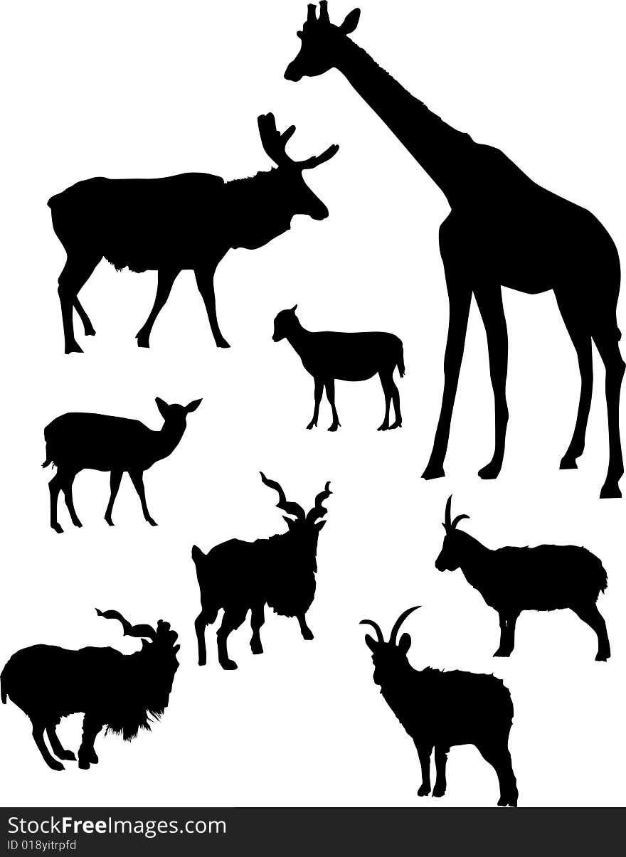 Illustration with different horned animals. Illustration with different horned animals