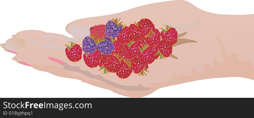 Illustration with hand and strawberries