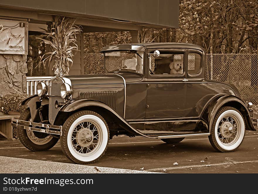 Vintage vehicle with pup in sepia tones. Vintage vehicle with pup in sepia tones.