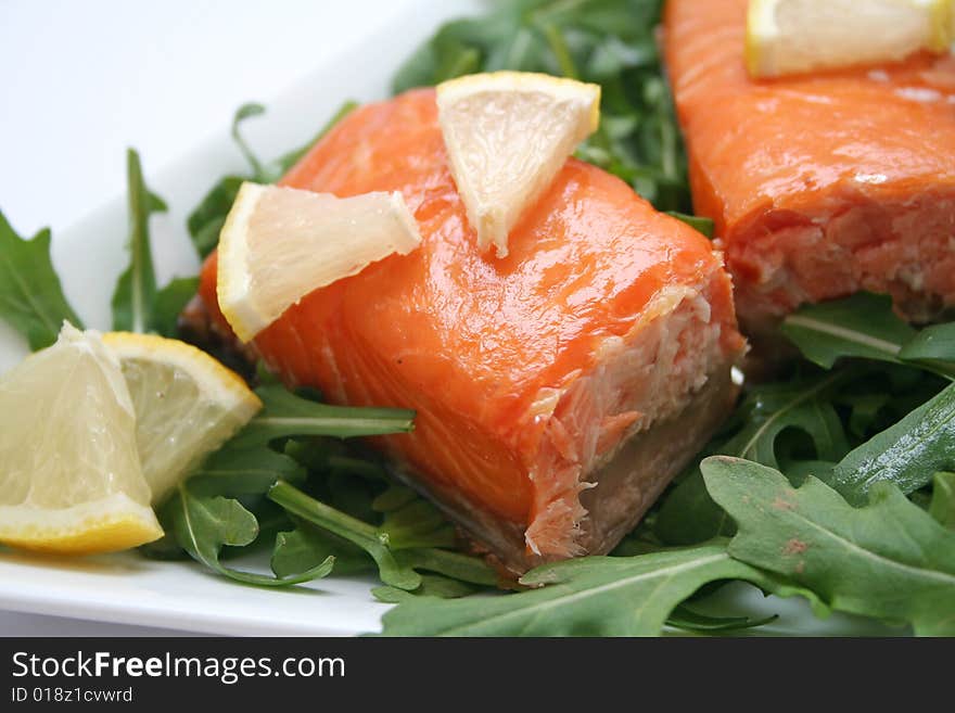 Salmon