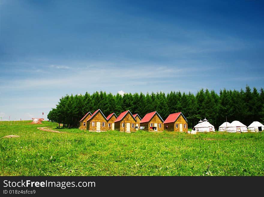 House in grassland