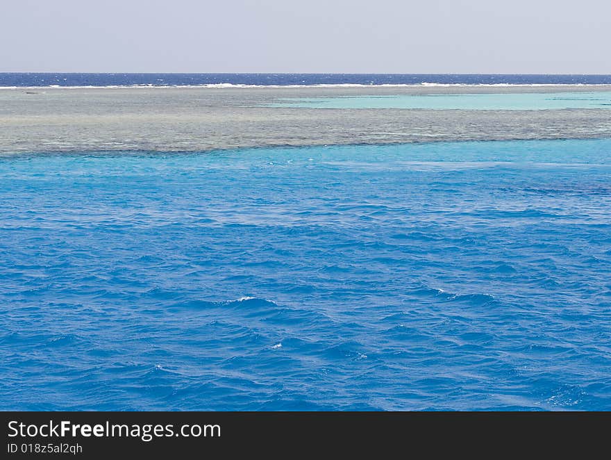 Red Sea Coral Reef