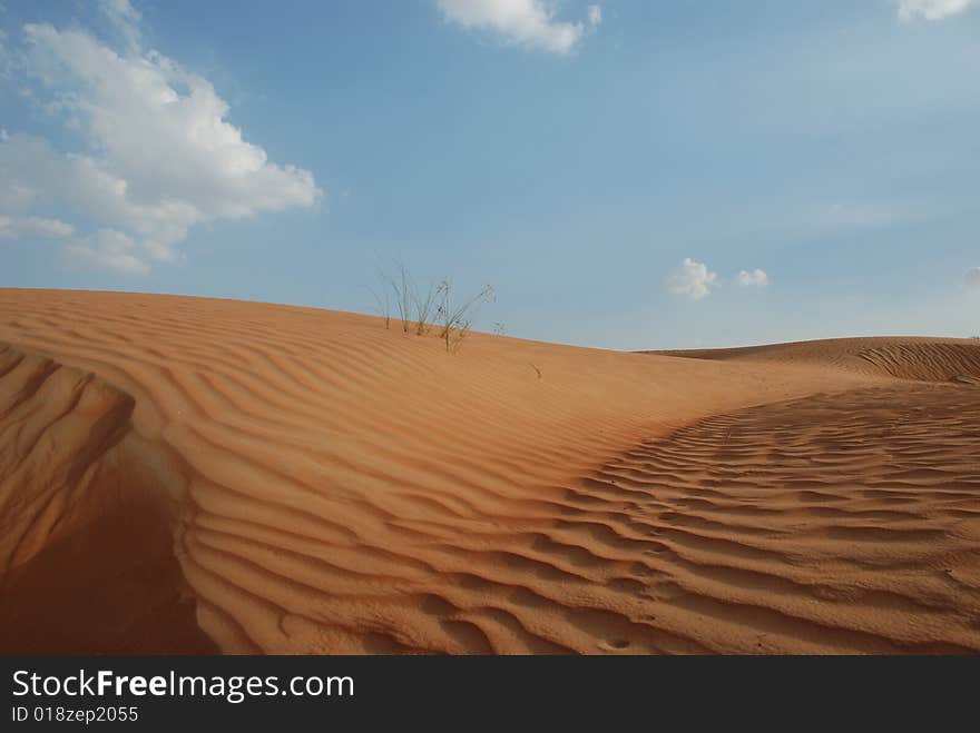 Desert And Sky