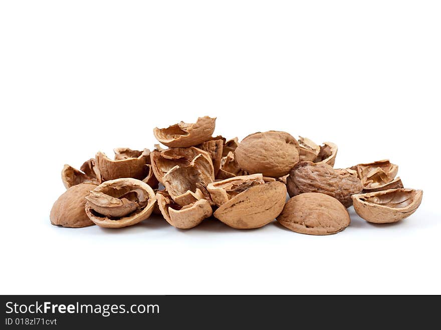 Nutshells isolated on the white background