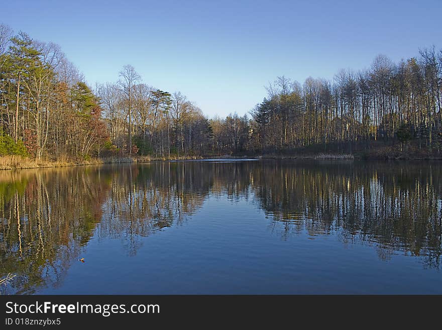 A lake and forest and blue sky in fall