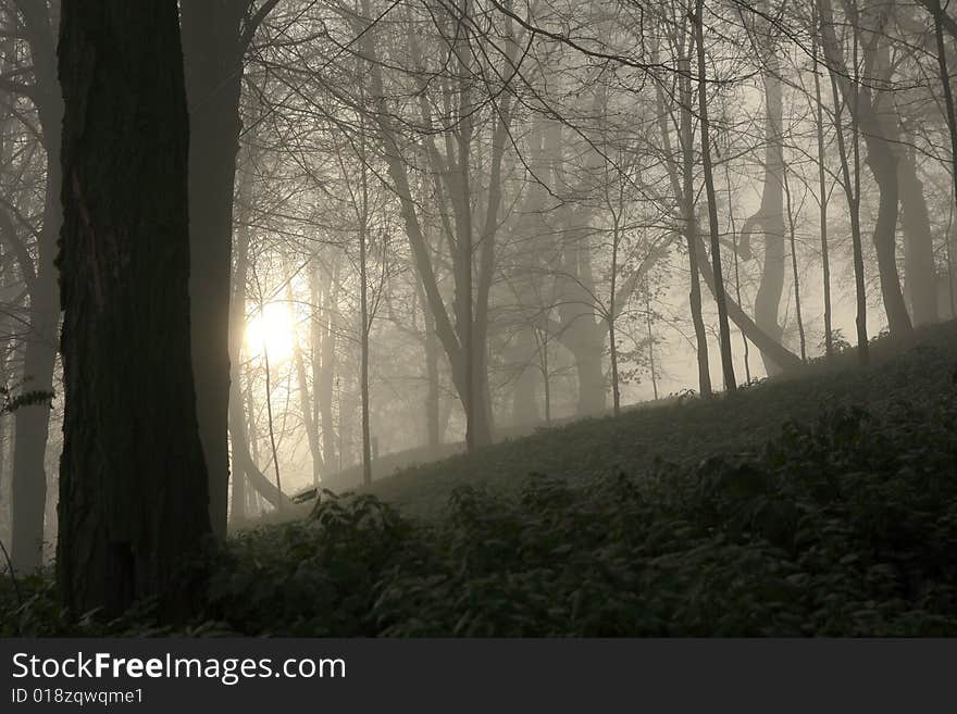 Photo was taken in Tyniec near Cracow in Poland. About 6:00 AM, morning fog and rising sun. Photo was taken in Tyniec near Cracow in Poland. About 6:00 AM, morning fog and rising sun.