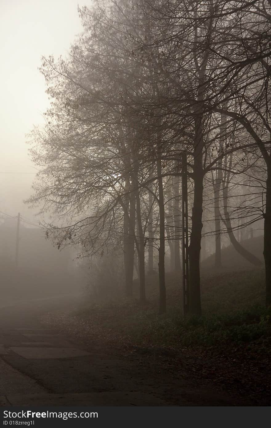 Photo was taken in Tyniec near Cracow in Poland. About 6:00 AM, morning fog and rising sun. Photo was taken in Tyniec near Cracow in Poland. About 6:00 AM, morning fog and rising sun.