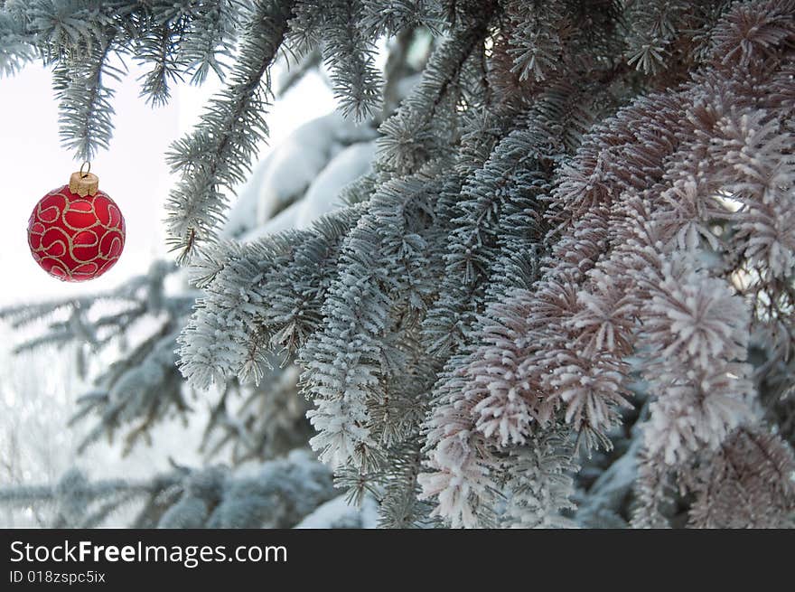 Fir branch with red Christmas ball. Fir branch with red Christmas ball