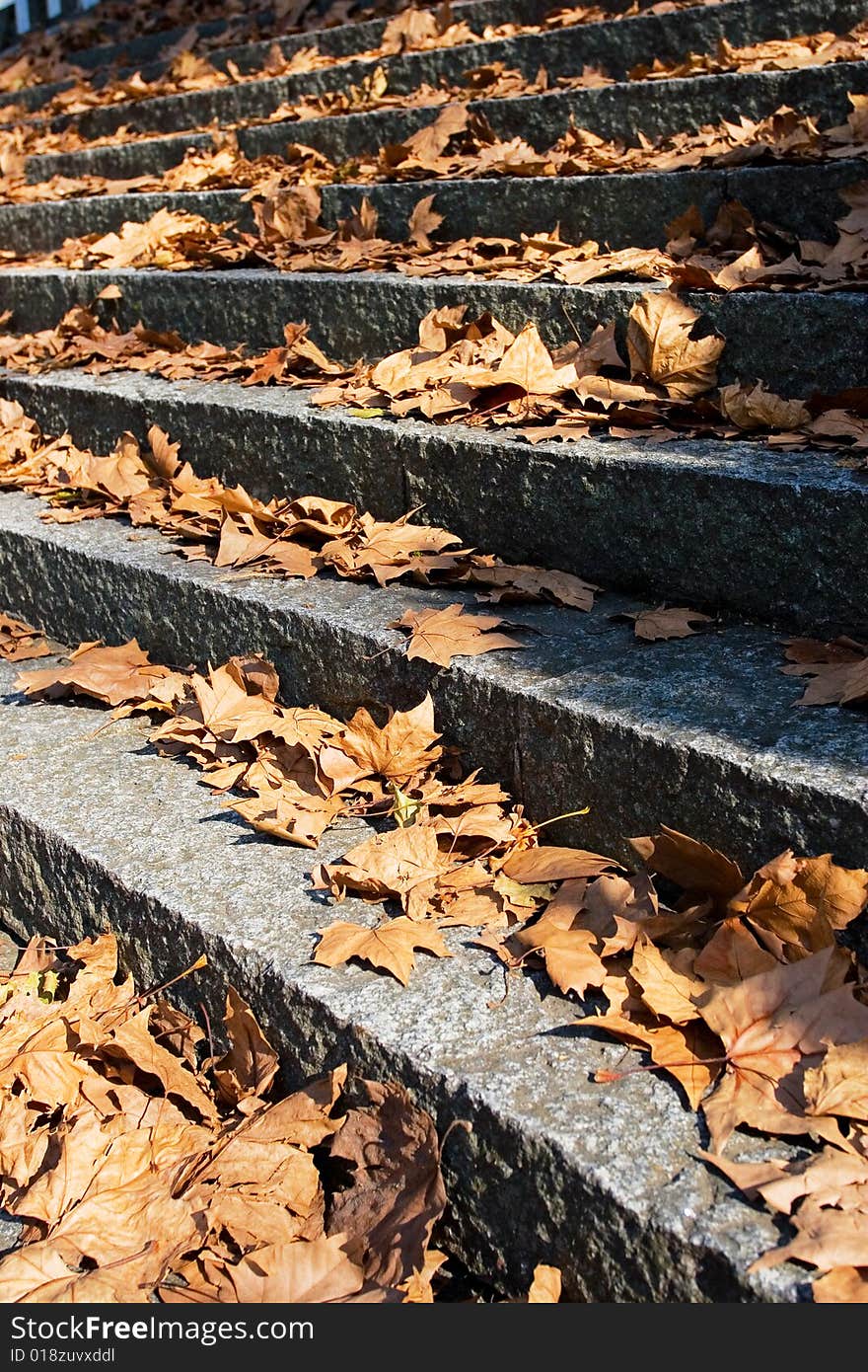 The step with a lot of autumn leaves. The step with a lot of autumn leaves.