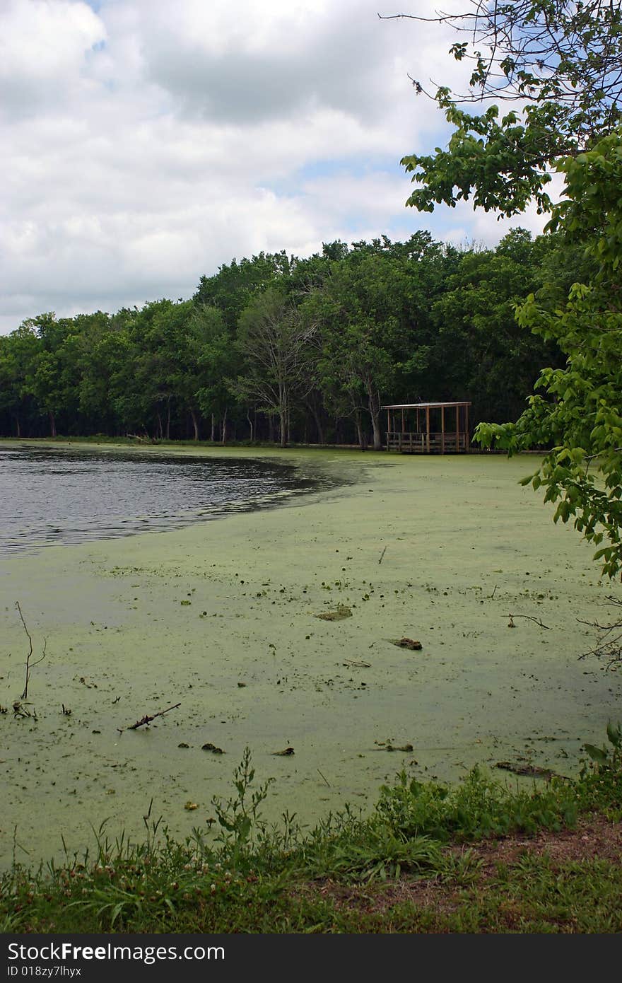 Nature Trail at Brazos Bend