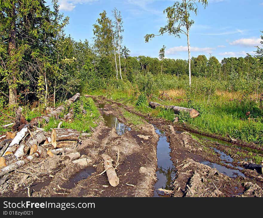 Aging bad road on chopping wood