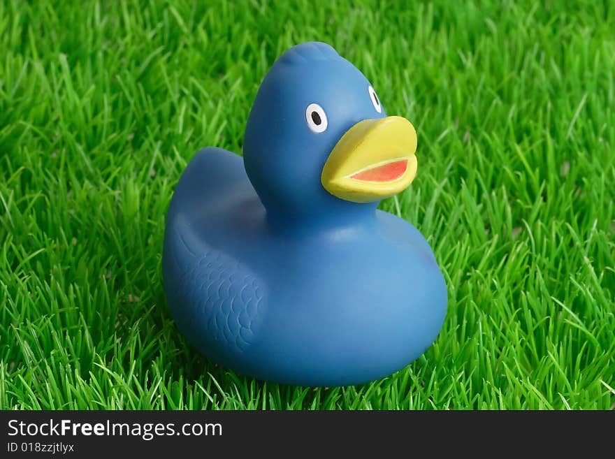 Rubber duck