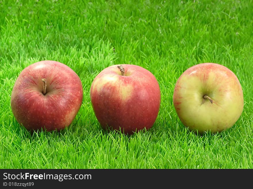 Fresh red apples on green grass. Shot in Studio. Fresh red apples on green grass. Shot in Studio