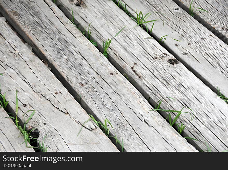 Closeup photo of an old wooden walkway with grass