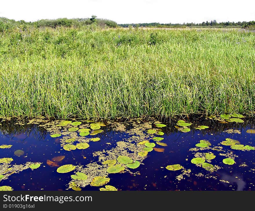 Small lake on green field