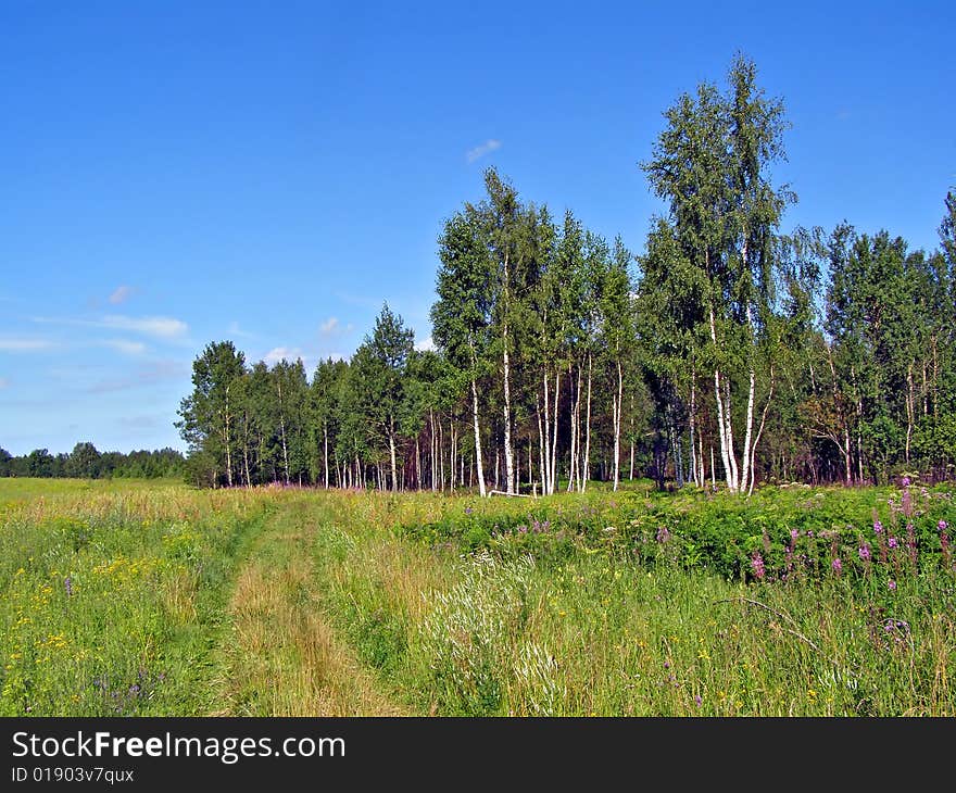 Aging Rural Road