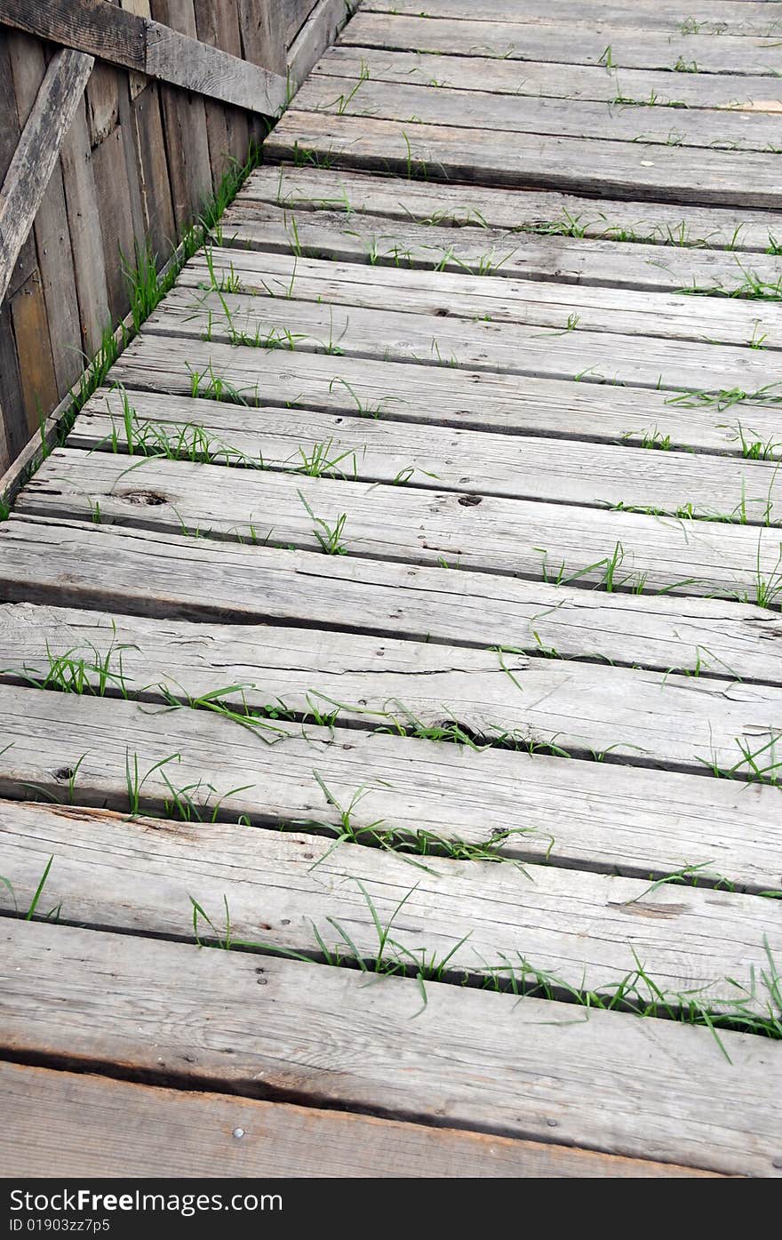 Closeup photo of an old wooden walkway with grass