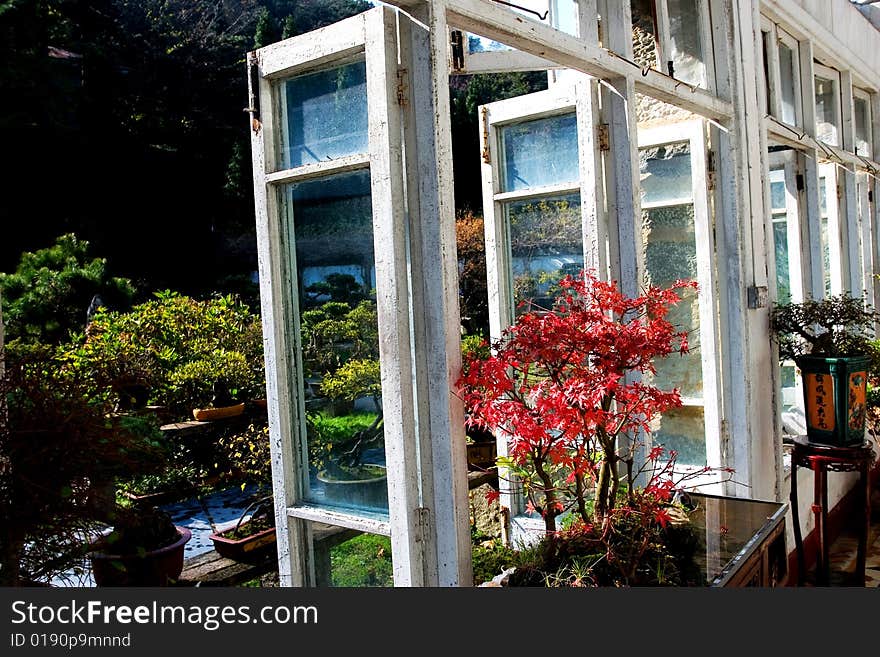 The window of a frame house. The window of a frame house.