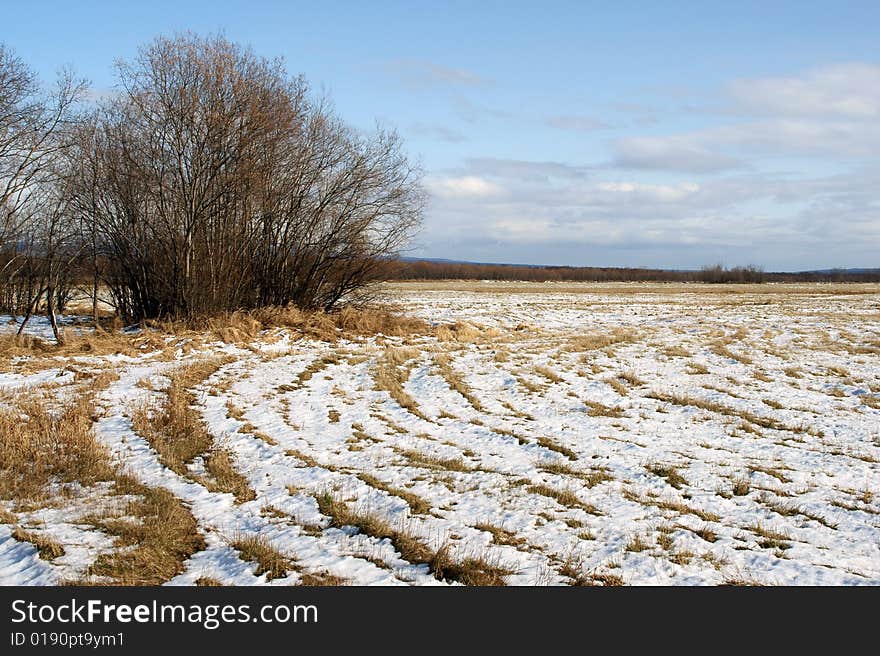 First white snow has fallen out on autumn field