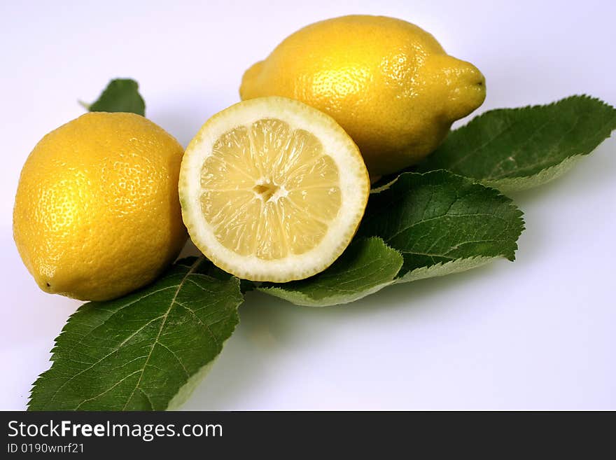 Fresh citrus fruits on white ground