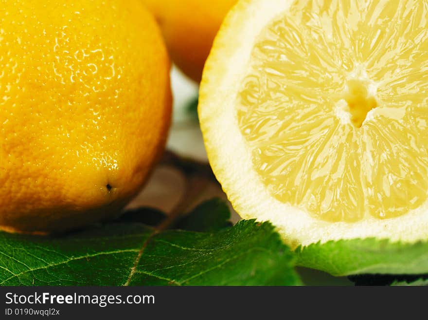 Fresh citrus fruits on white ground