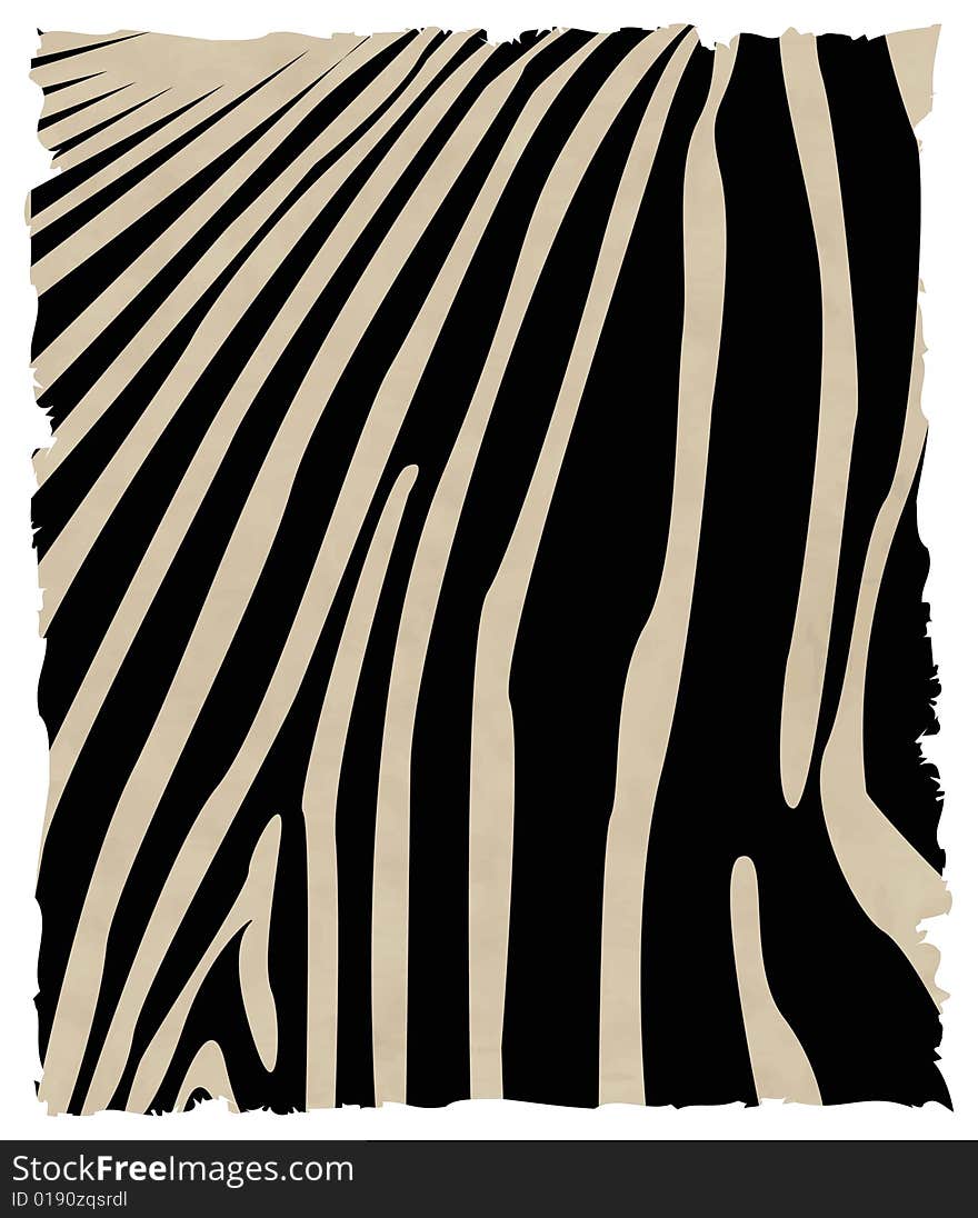 Zebra Skin