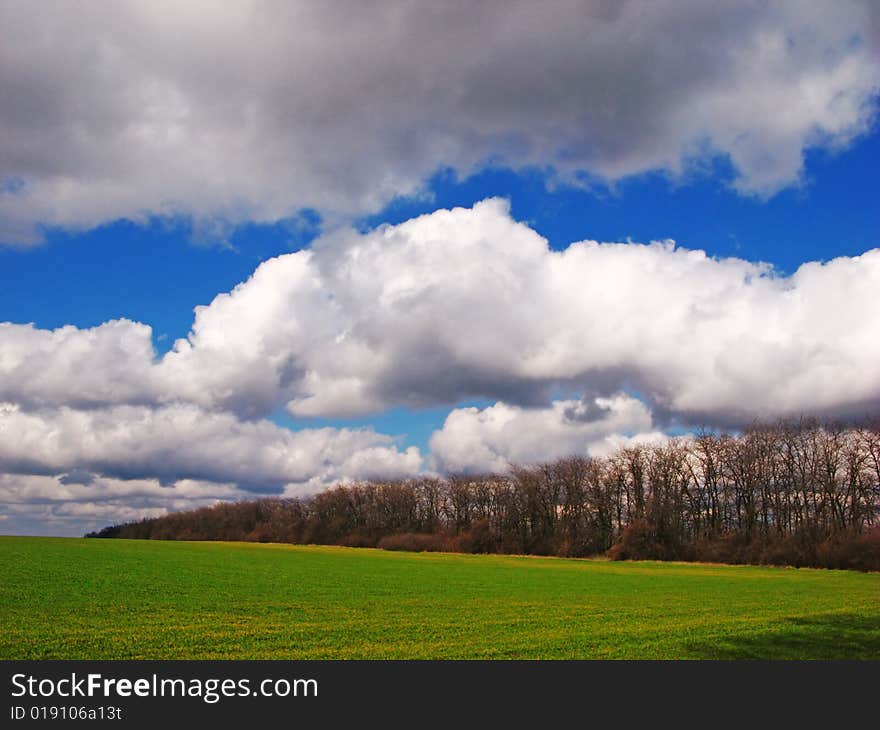 Spring field