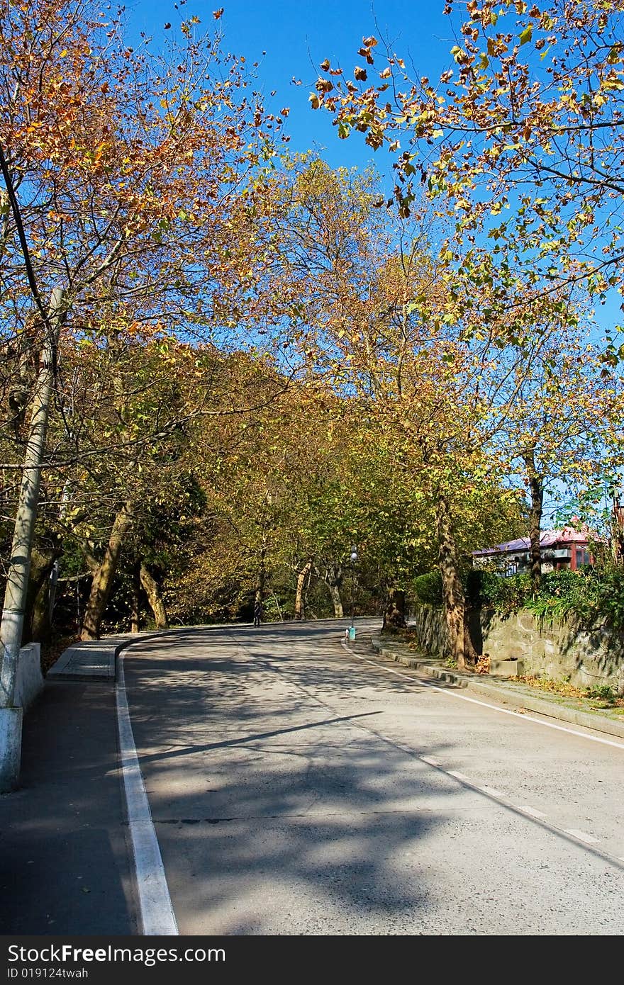 The autumn road with blue sky background.