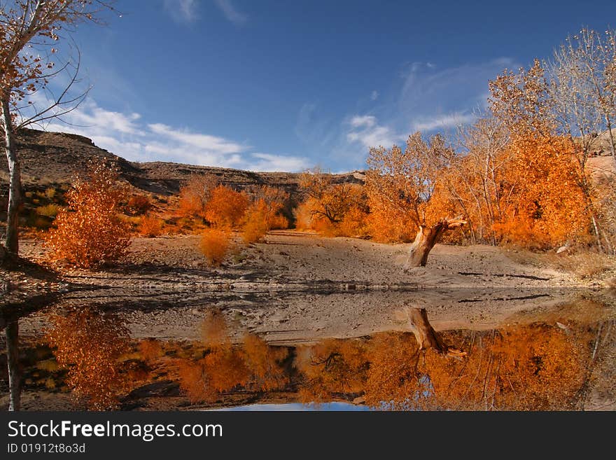 Fall reflections in the deset with blue sky. Fall reflections in the deset with blue sky